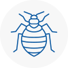 Bed Bug Extermination In Long Ditton