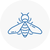 Bee Nest Removal Long Ditton