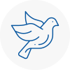 Bird Prevention Long Ditton