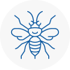 Long Ditton Hornet Nest Removals