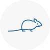 Mice Exterminators In Long Ditton