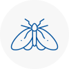 Moth Control Specialists In Long Ditton