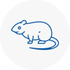 Rat Control Long Ditton