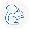 Long Ditton Rodent Removals