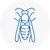 Long Ditton Wasp Nest Removal